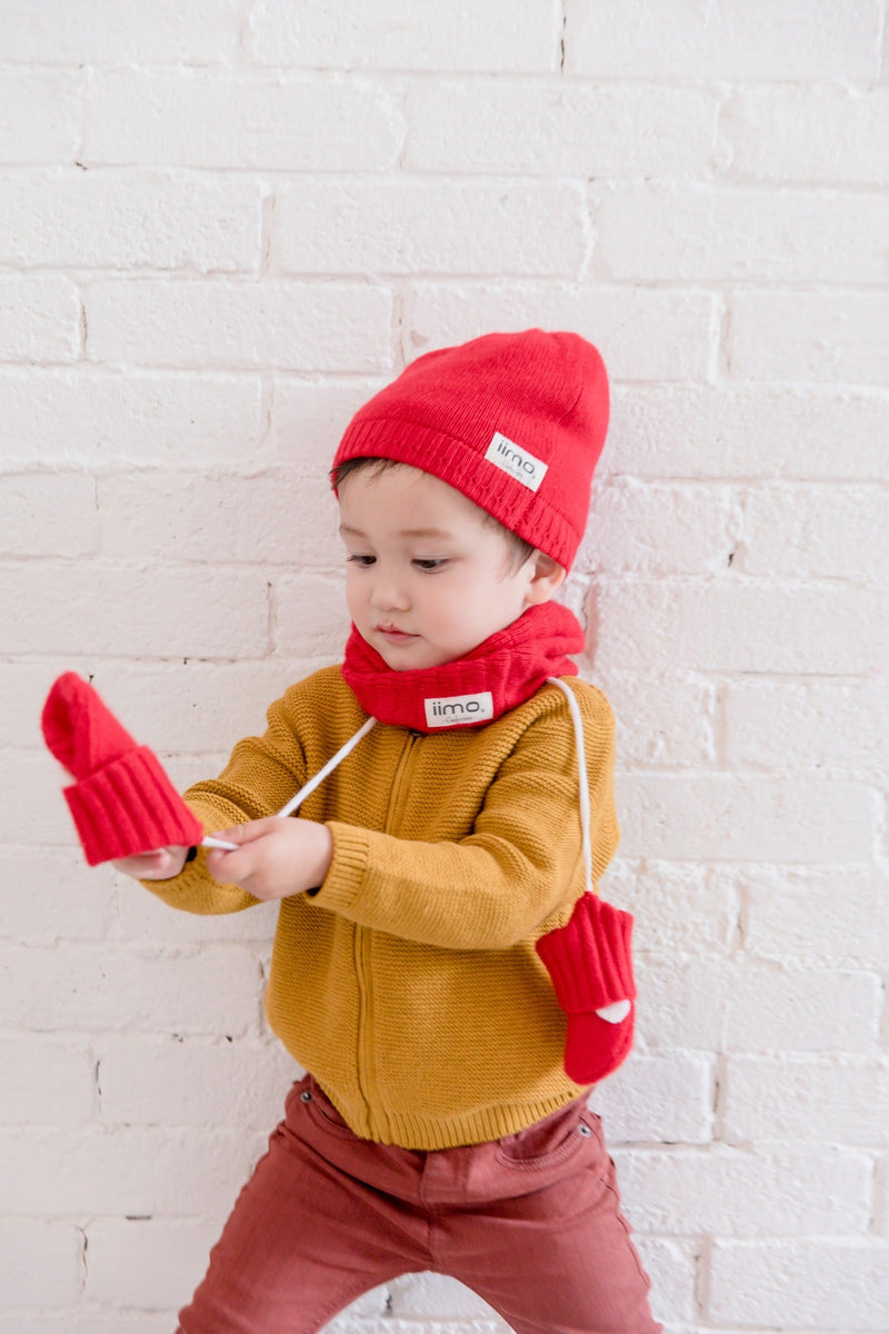 Cashmere Winter Set – Hat, Scarf & Gloves (Limited Edition) by iimo USA store
