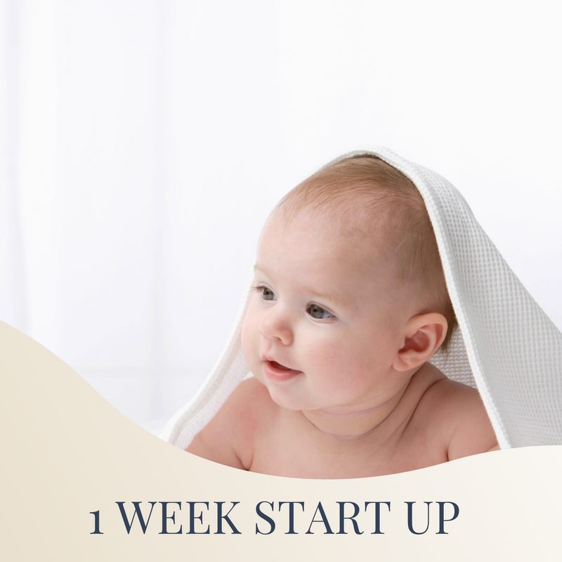 1 Week Start Up