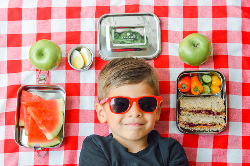 Stainless Steel Eco Lunch Box, Leak Proof, 2 Tier with 1 Mini Sauce Container, 60 Oz or 1700 ml freeshipping - ecozoi