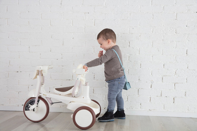 3-in-1 Foldable Tricycle with Canopy – Toddler Ride-On by iimo USA