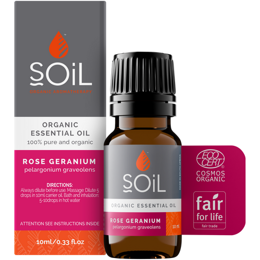Organic Rose Geranium Essential Oil (Pelargonium graveolens) – 10ml