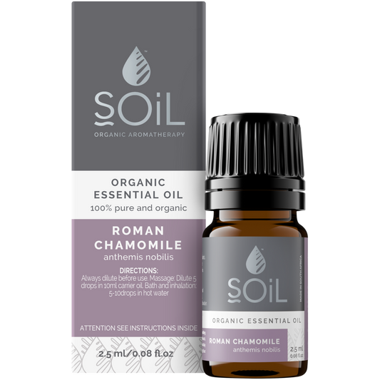 Organic Roman Chamomile Essential Oil (Anthemis nobilis) – 2.5ml