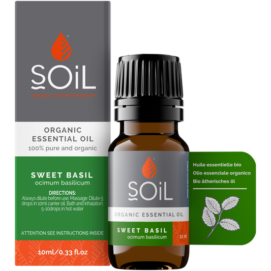 Organic Basil Essential Oil (Ocimum Basilicum) — 20ml