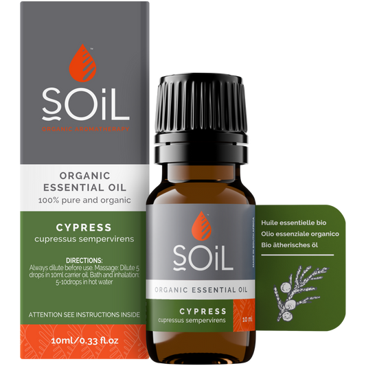 Organic Cypress Essential Oil (Cupressus Sempervirens) – 20ml