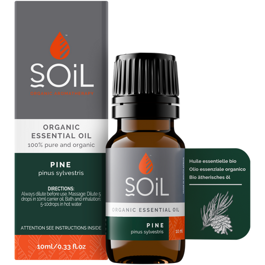 Organic Pine Essential Oil (Pinus sylvestris) – 20ml