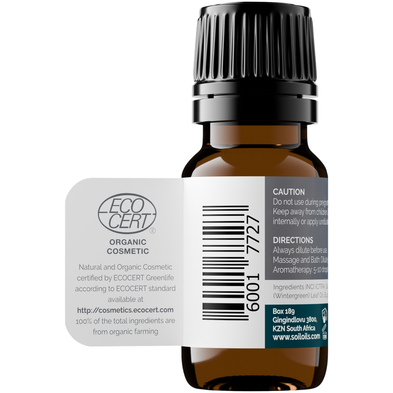 Organic Wintergreen Essential Oil (Gaultheria Procumbens) – 20ml