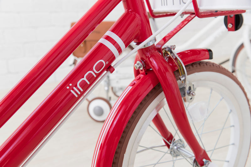 Kid’s Bicycle – Stylish First Ride for Ages 3–8 by iimo USA store