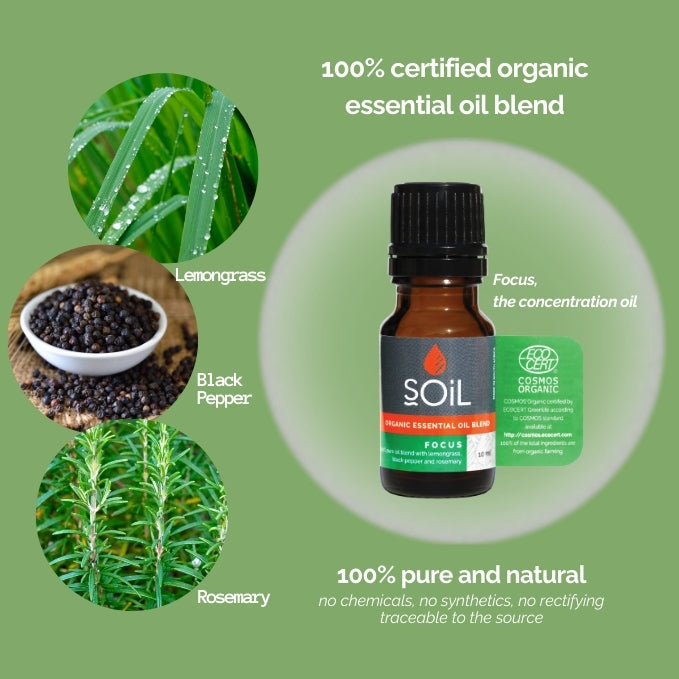 Focus – Organic Essential Oil Blend – 20ml