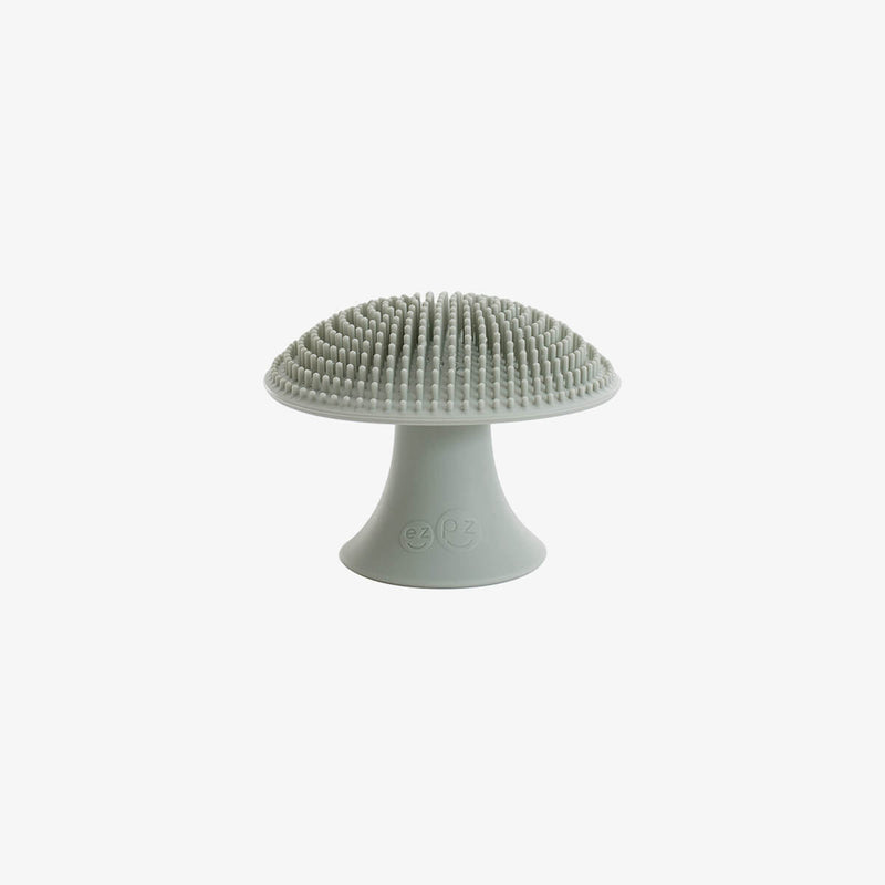 mushroom sponge sage #color_sage