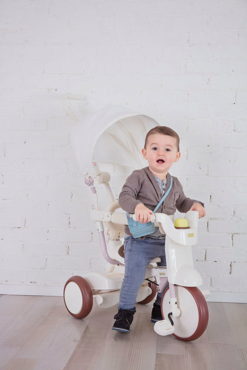 3-in-1 Foldable Tricycle with Canopy – Toddler Ride-On by iimo USA