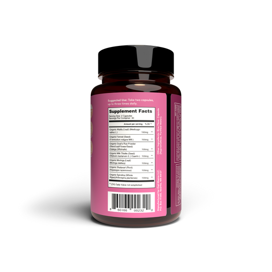 You Got This Lactation Blend – Milk Supply Support by Oat Mama