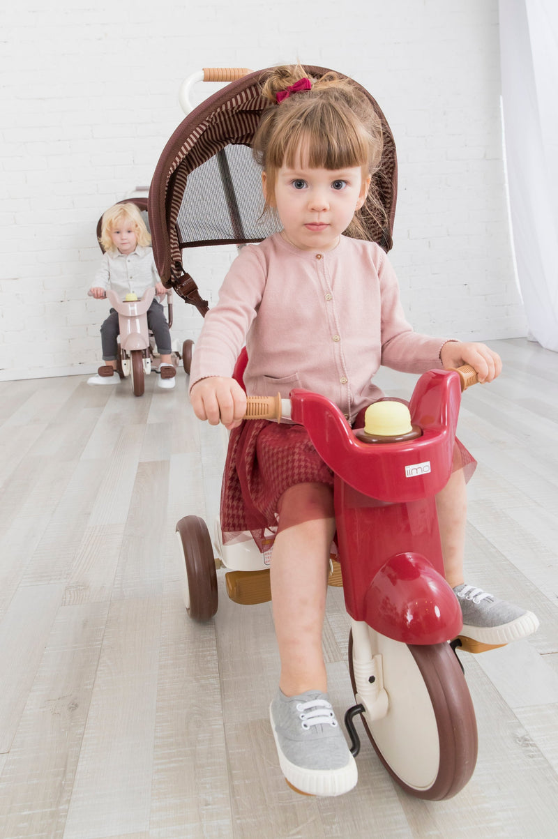 3-in-1 Foldable Tricycle with Canopy – Toddler Ride-On by iimo USA