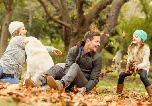 Screen-Free Fall Fun: Activities That Bring Families Together