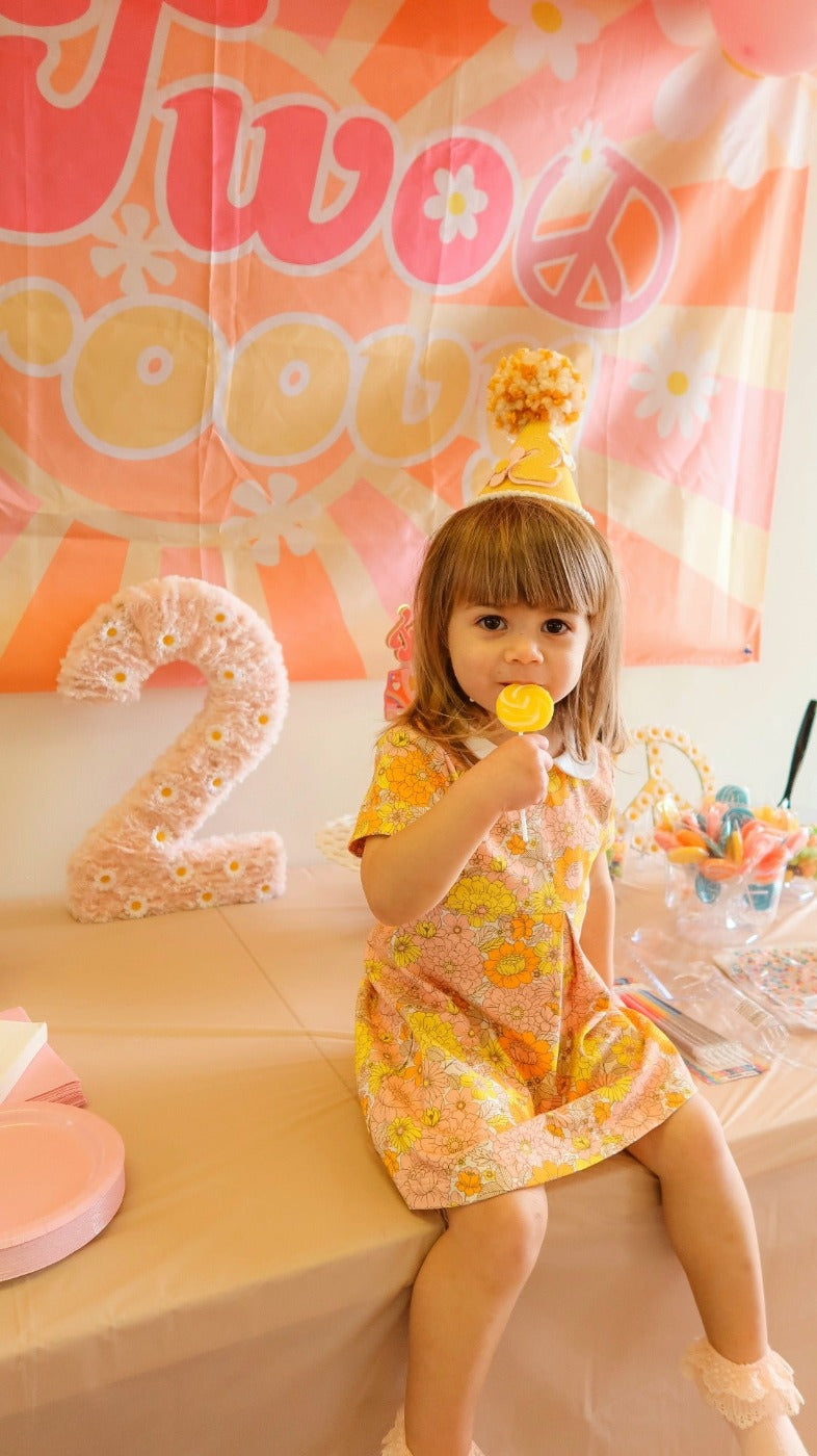 peter pan collar floral dress two groovy birthday dress