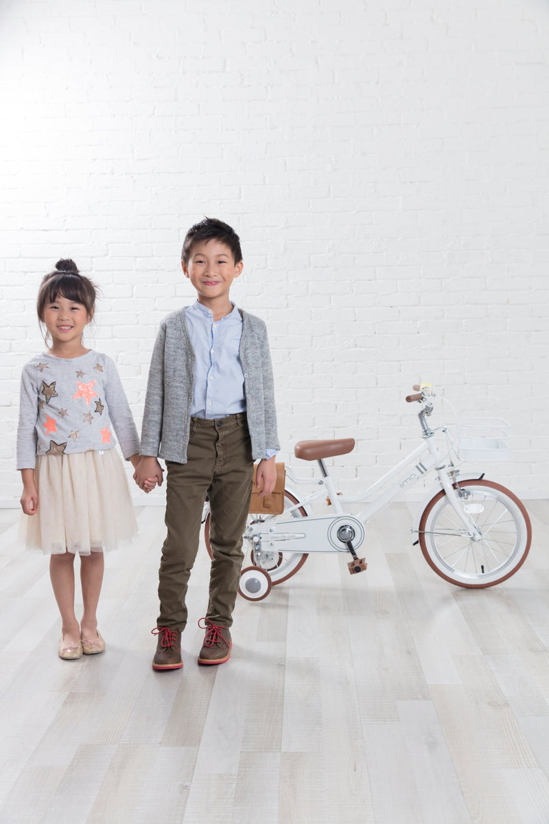 Kid’s Bicycle – Stylish First Ride for Ages 3–8 by iimo USA store