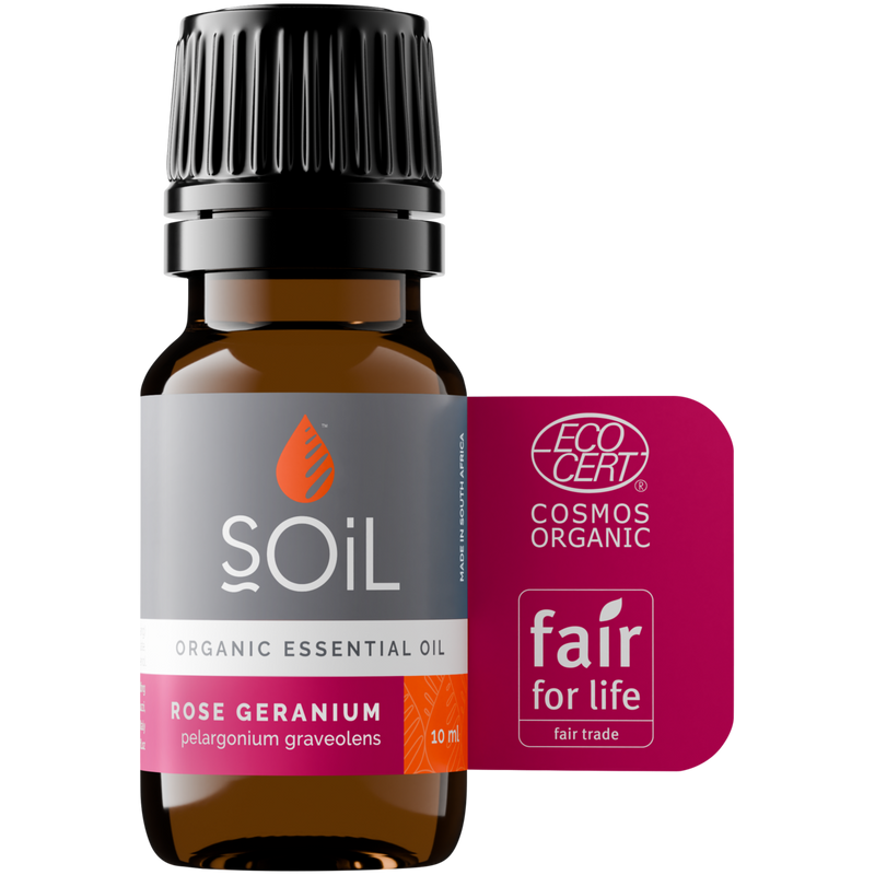 Organic Rose Geranium Essential Oil (Pelargonium graveolens) – 10ml