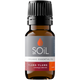 Organic Ylang Ylang Essential Oil (Cananga Odorata) – 10ml