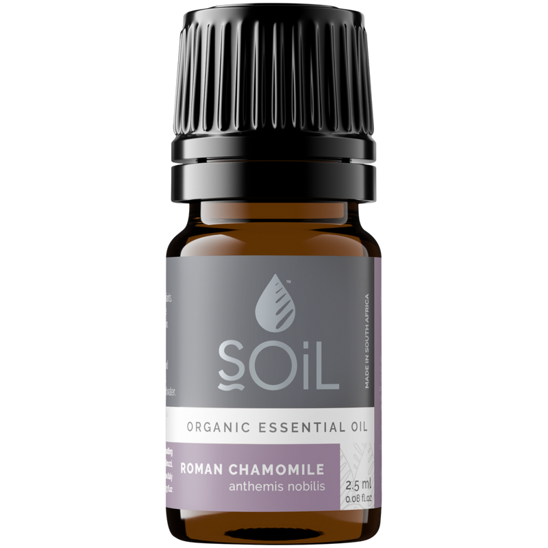 Organic Roman Chamomile Essential Oil (Anthemis nobilis) – 2.5ml