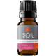 Organic Bergamot Essential Oil (Citrus bergamia) – 10ml