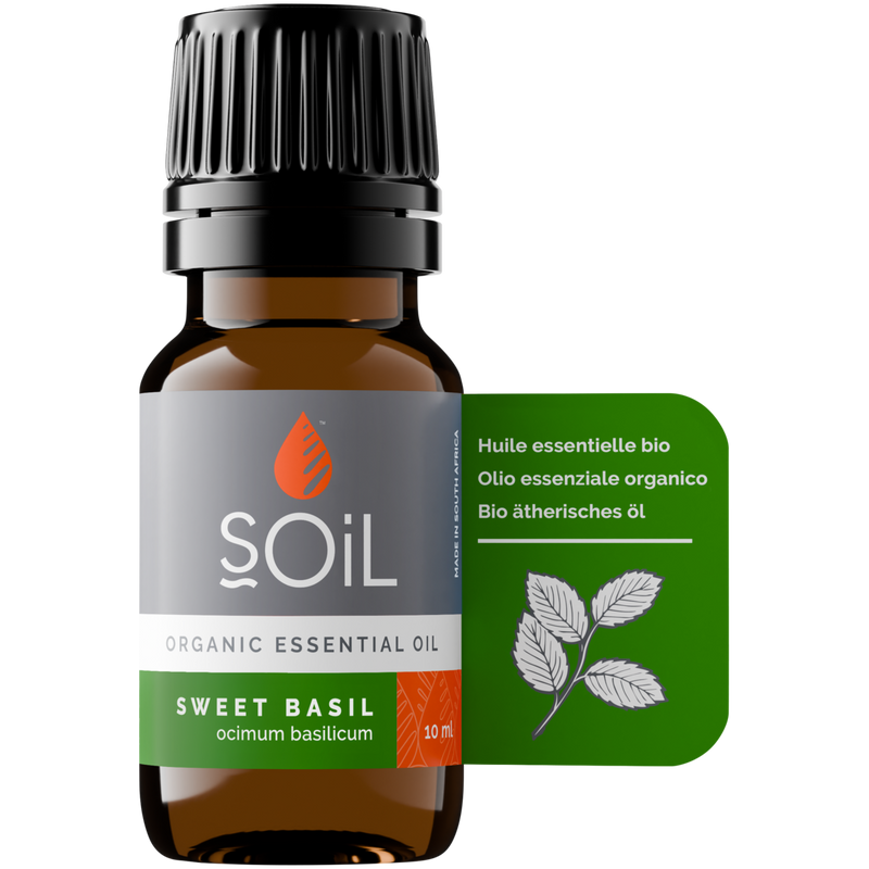 Organic Basil Essential Oil (Ocimum Basilicum) — 20ml