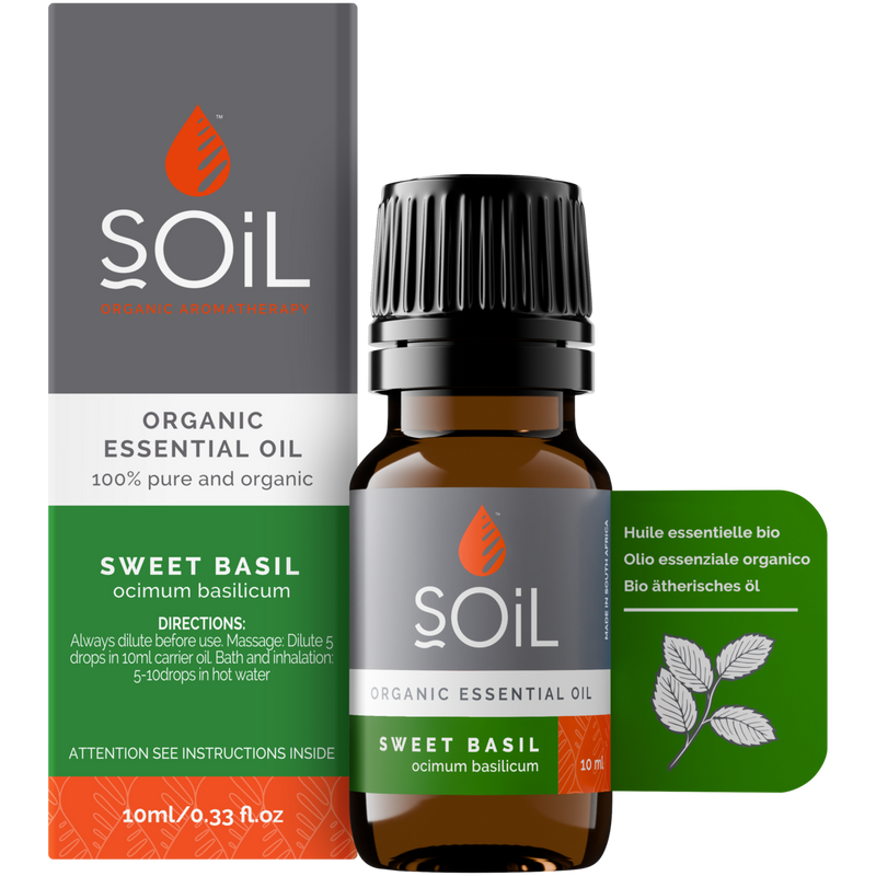 Organic Basil Essential Oil (Ocimum Basilicum) — 20ml