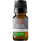 Organic Basil Essential Oil (Ocimum Basilicum) — 20ml