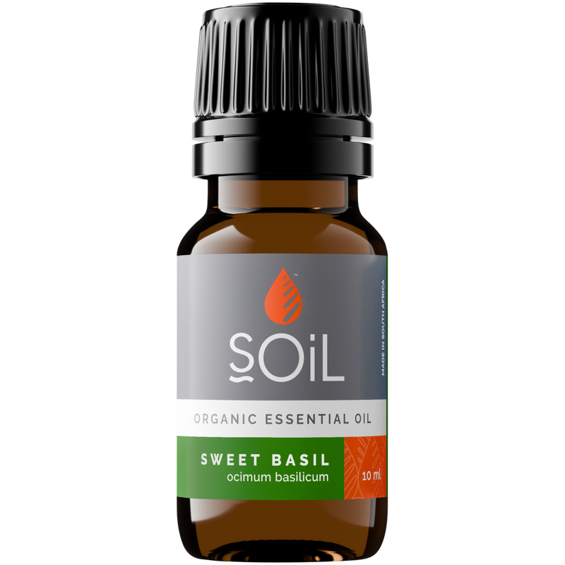 Organic Basil Essential Oil (Ocimum Basilicum) — 20ml