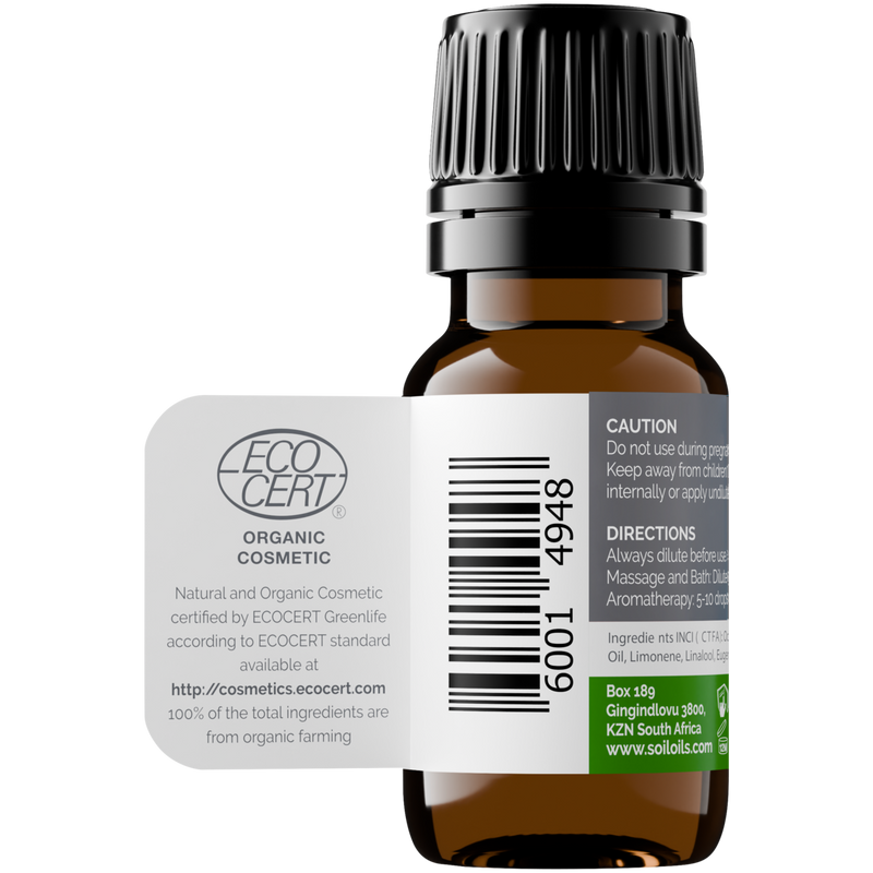 Organic Basil Essential Oil (Ocimum Basilicum) — 20ml