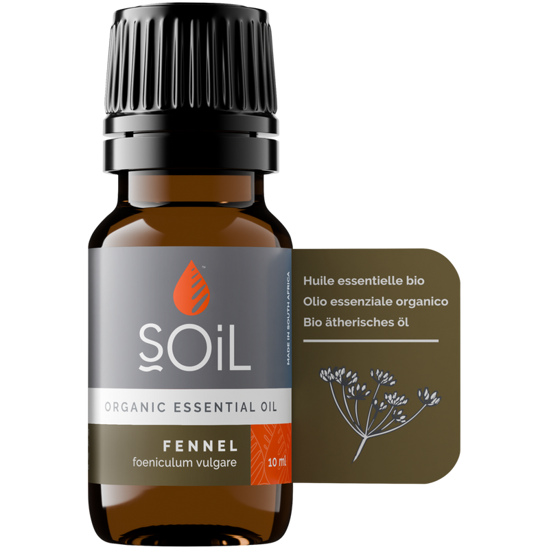 Organic Fennel Essential Oil (Foeniculum vulgare) — 20ml