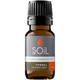 Organic Fennel Essential Oil (Foeniculum vulgare) — 20ml