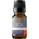 Organic Juniper Essential Oil (Juniperus communis) — 10ml