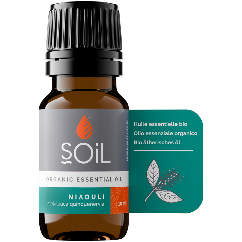 Organic Niaouli Essential Oil (Melaleuca quinquenervia) – 30ml