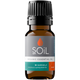 Organic Niaouli Essential Oil (Melaleuca quinquenervia) – 30ml
