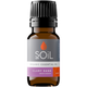 Organic Clary Sage Essential Oil (Salvia sclarea) – 10ml