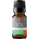 Organic Palmarosa Essential Oil (Cymbopogon martini) – 20ml