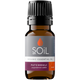 Organic Patchouli Essential Oil (Pogostemon cablin) — 10ml