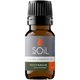 Organic Petitgrain Essential Oil (Citrus aurantium) – 20ml