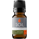 Organic Vetiver Essential Oil (Vetiveria Zizanoides) – 10ml