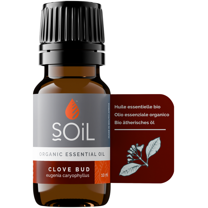Organic Clove Bud Essential Oil (Eugenia Caryophyllus) – 20ml