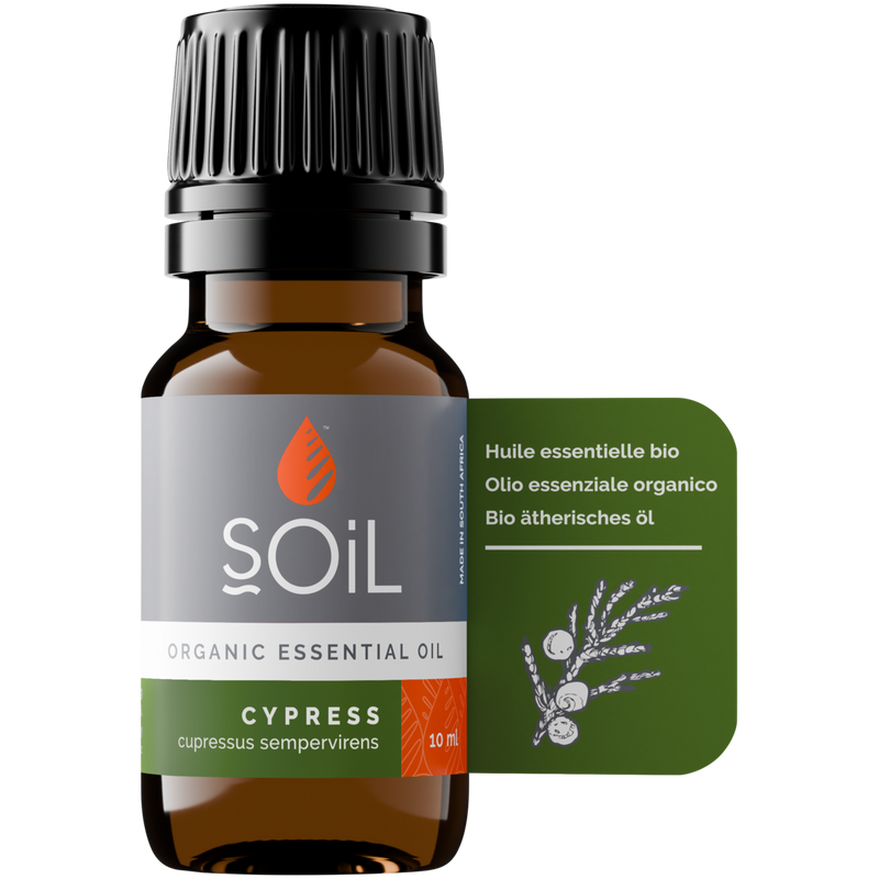 Organic Cypress Essential Oil (Cupressus Sempervirens) – 20ml