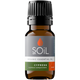 Organic Cypress Essential Oil (Cupressus Sempervirens) – 20ml