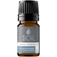 Organic Frankincense Essential Oil (Boswellia Neglecta) – 5ml