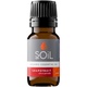 Organic Grapefruit Essential Oil (Citrus Paradisi) – 10ml