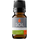 Organic Lime Essential Oil (Citrus Aurantifolia) – 20ml