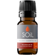 Organic Mandarin Essential Oil (Citrus Reticulata Blanco) – 20ml