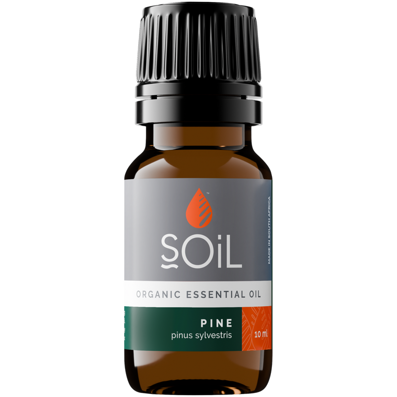 Organic Pine Essential Oil (Pinus sylvestris) – 20ml