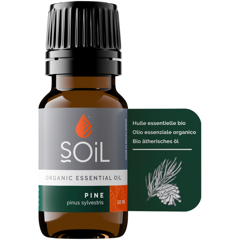 Organic Pine Essential Oil (Pinus sylvestris) – 20ml