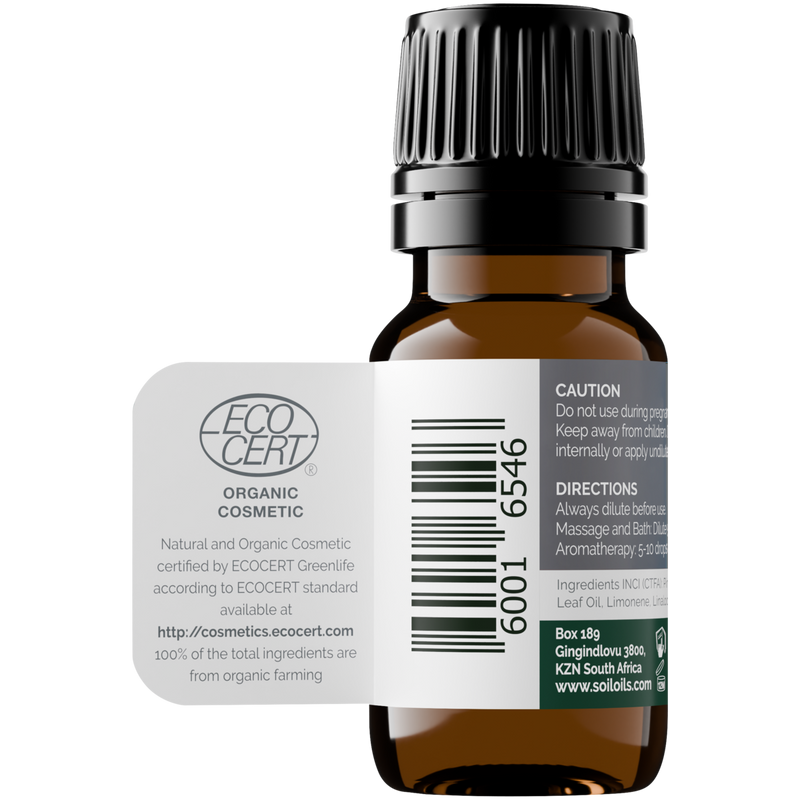 Organic Pine Essential Oil (Pinus sylvestris) – 20ml