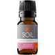 Organic Benzoin Essential Oil (Styrax Tonkinensis Resin & Alcohol) – 10ml
