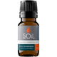 Organic Wintergreen Essential Oil (Gaultheria Procumbens) – 20ml